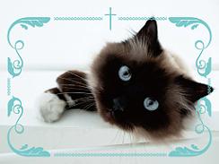 ペットデスクマット